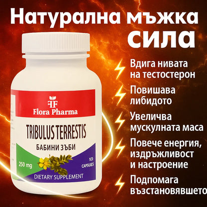 Buzdyganek naziemny – suplement diety, 100 kapsułek, 250 mg – dla siły, energii i libido