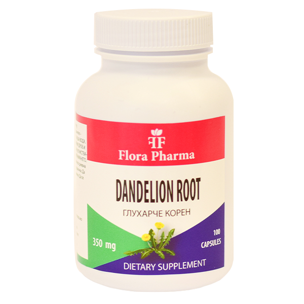 Korzeń mniszka lekarskiego /Taraxacum/ – suplement diety 100 kapsułek, 350 mg – na wysoki cholesterol, cukier we krwi