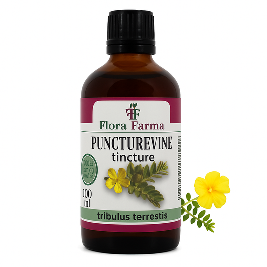 Buzdyganek naziemny – nalewka 100 ml – wspiera siłę, energię i libido